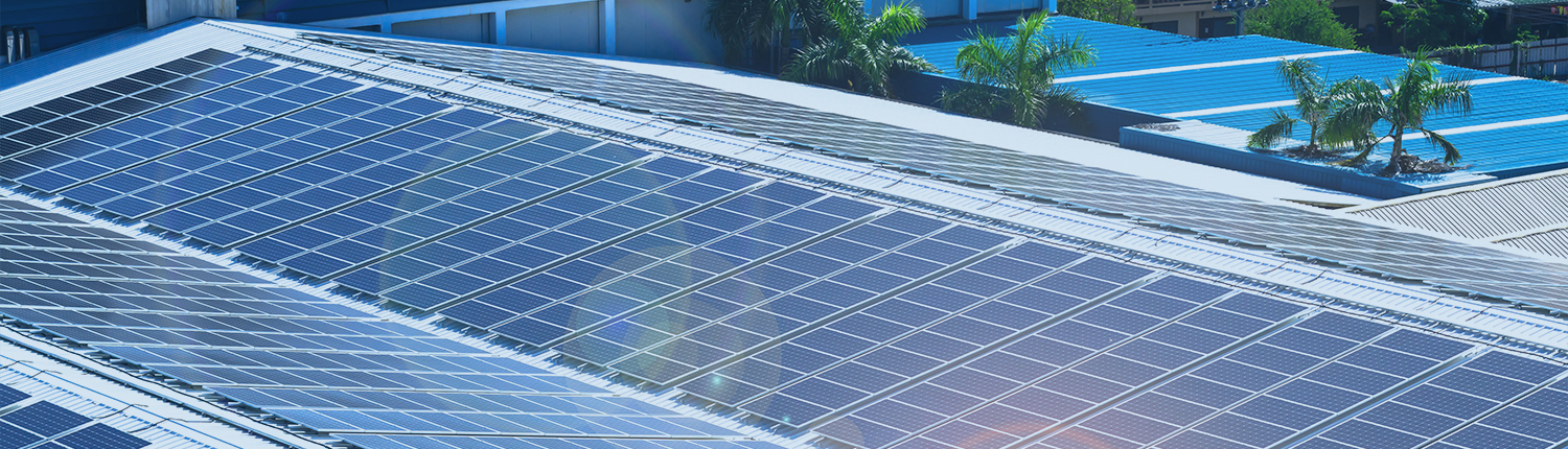 슬라이드 이미지